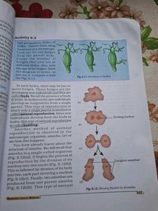 Class 8 Science &amp; Math Textbooks