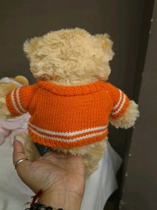 Cute Teddy Bear with Sweater