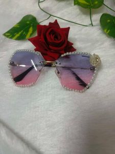Stylish Beaded Cat-Eye Sunglasses