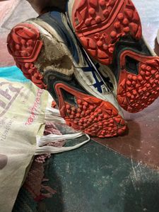 Used Pro ASE Sport Shoes