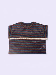Sparkly Striped Cropped Top