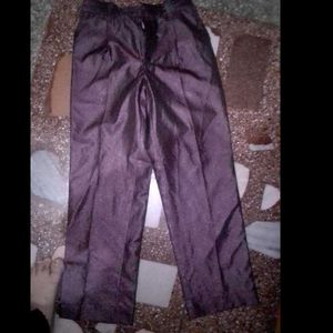 Elegant Sparkly Purple Pants