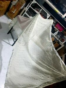 Embellished Net Dupatta