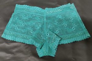 Teal Lace Briefs