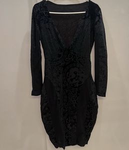 Velvet Dragon Print Dress