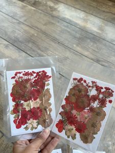 Pressed Flowers Sheets Combo