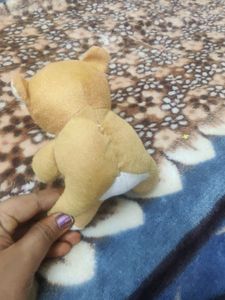 Teddy Bear