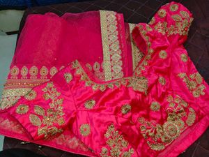 elegant lehenga