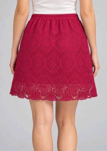 Chic Lace Skater Skirt