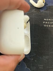 Apple AirPods Pro Case and Earbuds