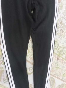 Ladies Active Wear Tights