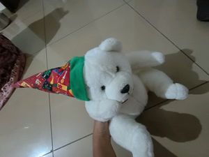 Super Soft White 🤍🐻‍❄️ Teddy Bear