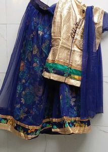Lehenga Choli (indo western dress)