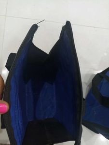 Lunch Bag-1 Pair, 24 CM Height,