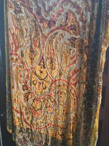 Beautiful Velvet Dupatta