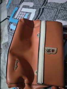 Chic Brown Handbag