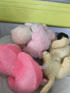 Cute Plush Toy Set