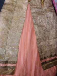 women ethnic gown
