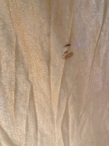Color Block Pleated Curtains