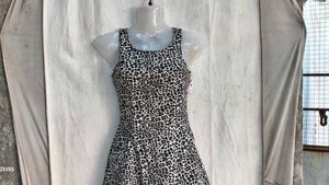 4629. Leopard Print Mini Dress