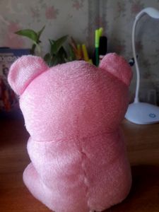 Soft Small Teddy