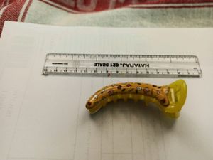Hair Clip Combo (3 in 1)