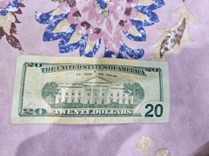 20 Dollar note