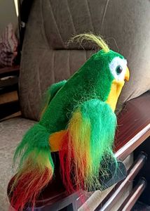 TalkBack Parrot Toy