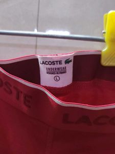 Lacoste Brand new   - Red L size &amp; XL avilabl