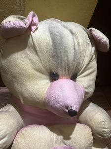 Teddy