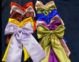 10 Piece Mixup Color Big Bow Pins... ❤