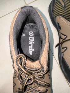 Men's Brown Lace-Up Shoes🤎🤎
