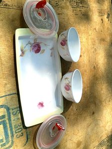 new Food Storage Containers with Lids&amp; tray
