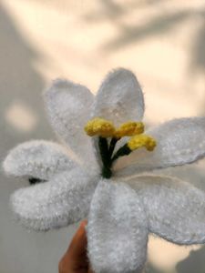 LILY FLOWER