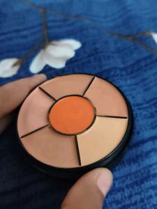 Insight Pro Concealer Palette