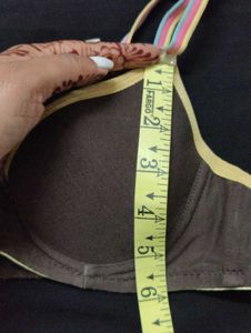 Cute Padded Brown Bra