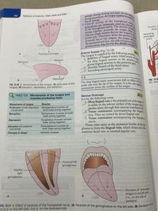 Vishram Singh Anatomy Textbooks ALL volumes