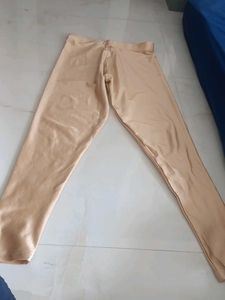 Shimmering Beige Palazzos