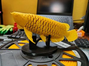 Golden Arowana Fish Showpiece
