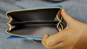 Blue Cartoon Wallet