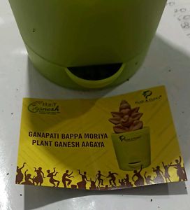 Plant Ganesh Idol in Pot