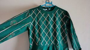 Beautiful Green Ethnic Gown