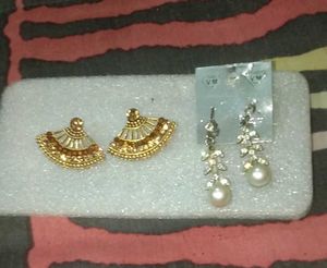 Elegant Pair of Earrings