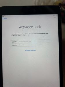 Ipad Mini Wifi