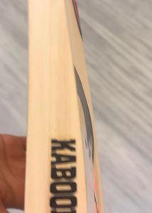 gary Nicholas cricket bat English willow