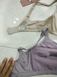 Bra Inner