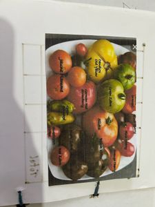 Textbook Pictures