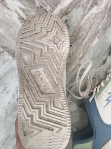 Campus Sport Shoes