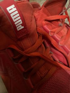 PUMA Enzo Red Running Sneakers 100% Original