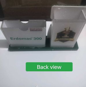 Mobile and Pen Stand with Lungs Decor